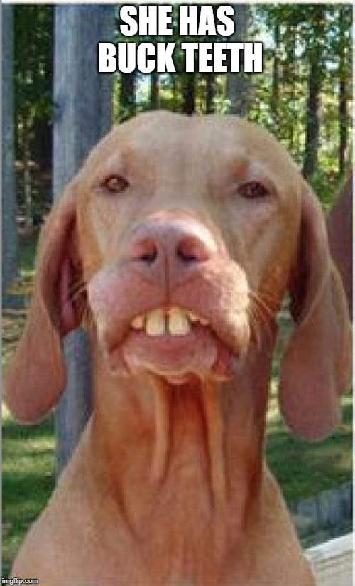luvs ma guns buck teeth dog | SHE HAS BUCK TEETH | image tagged in luvs ma guns buck teeth dog | made w/ Imgflip meme maker