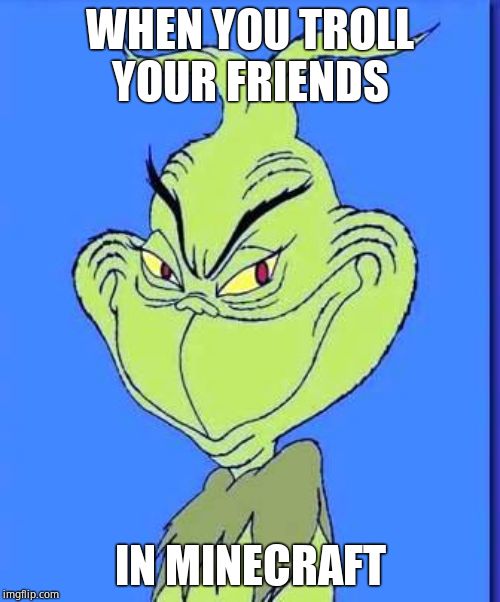 Good Grinch | WHEN YOU TROLL YOUR FRIENDS; IN MINECRAFT | image tagged in good grinch | made w/ Imgflip meme maker