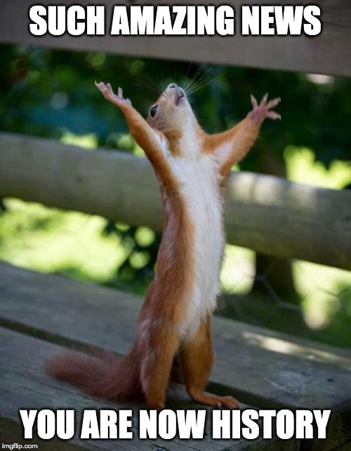 Happy Squirrel | SUCH AMAZING NEWS YOU ARE NOW HISTORY | image tagged in happy squirrel | made w/ Imgflip meme maker