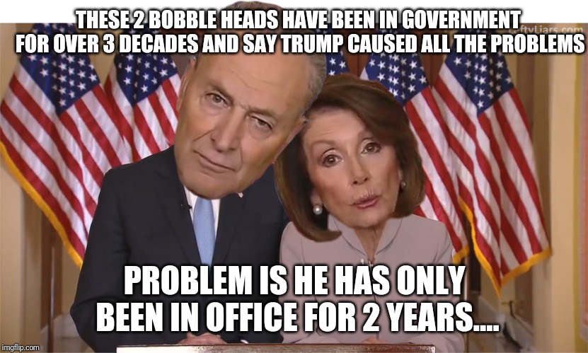 Bobble heads | THESE 2 BOBBLE HEADS HAVE BEEN IN GOVERNMENT FOR OVER 3 DECADES AND SAY TRUMP CAUSED ALL THE PROBLEMS; PROBLEM IS HE HAS ONLY BEEN IN OFFICE FOR 2 YEARS.... | image tagged in nancy pelosi | made w/ Imgflip meme maker