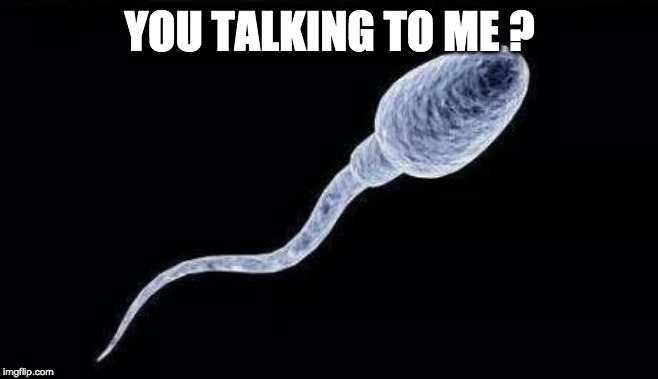 da sperm | YOU TALKING TO ME ? | image tagged in da sperm | made w/ Imgflip meme maker