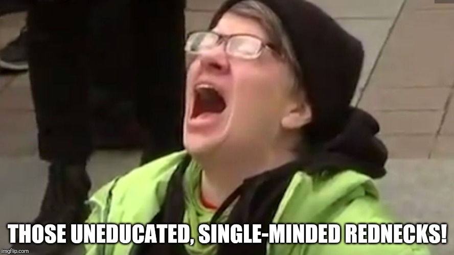 Screaming Liberal  | THOSE UNEDUCATED, SINGLE-MINDED REDNECKS! | image tagged in screaming liberal | made w/ Imgflip meme maker