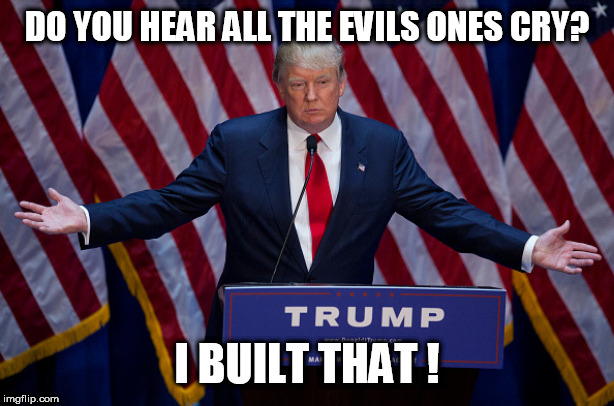 Donald Trump | DO YOU HEAR ALL THE EVILS ONES CRY? I BUILT THAT ! | image tagged in donald trump | made w/ Imgflip meme maker