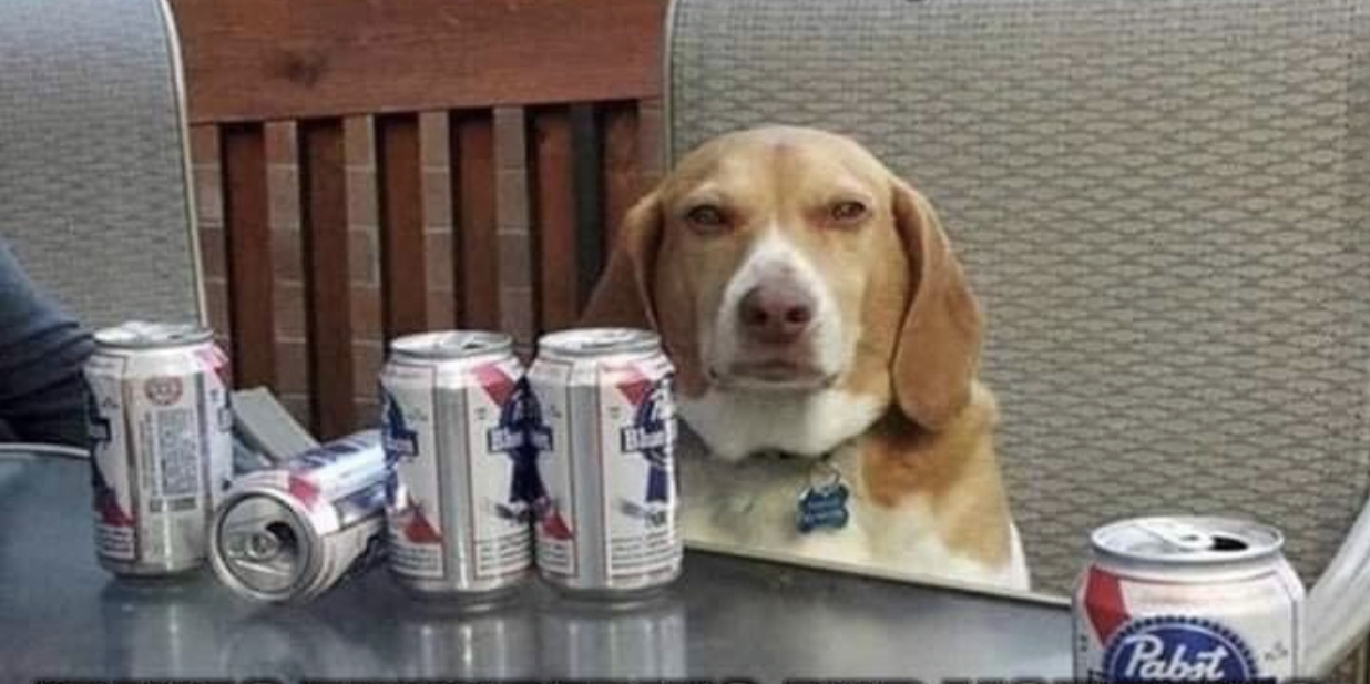 High Quality Beer Dog Blank Meme Template