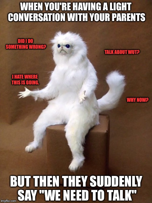 Conversation Issues Pt. 2 | WHEN YOU'RE HAVING A LIGHT CONVERSATION WITH YOUR PARENTS; DID I DO SOMETHING WRONG? TALK ABOUT WUT? I HATE WHERE THIS IS GOING. WHY NOW? BUT THEN THEY SUDDENLY SAY "WE NEED TO TALK" | image tagged in but why cat,persian cat room guardian single,why,wut,memes,issues | made w/ Imgflip meme maker