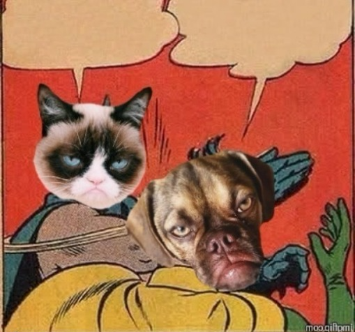 Grump Cat Slapping Grumpy Dog Blank Meme Template