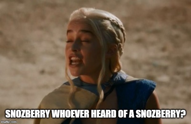 Dany | SNOZBERRY WHOEVER HEARD OF A SNOZBERRY? | image tagged in dany | made w/ Imgflip meme maker
