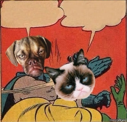 Grumpy Dog Slapping Grumpy Cat Blank Meme Template