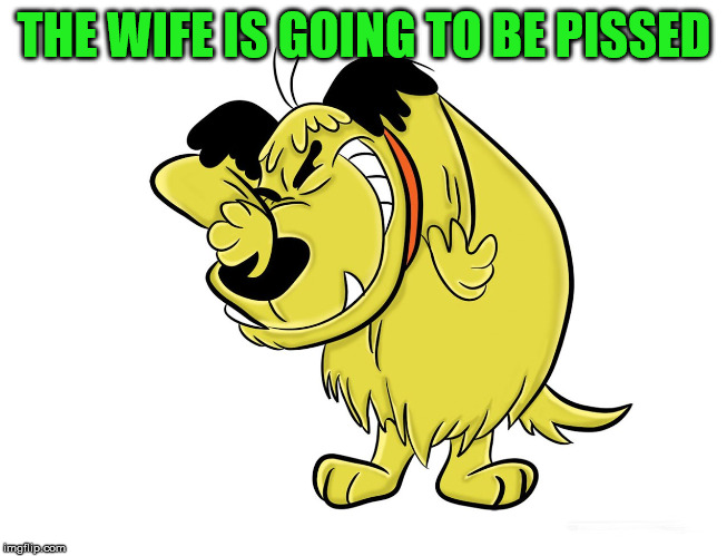THE WIFE IS GOING TO BE PISSED | image tagged in muttley memes | made w/ Imgflip meme maker