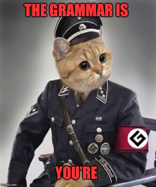Grammar Nazi Cat | THE GRAMMAR IS YOU’RE | image tagged in grammar nazi cat | made w/ Imgflip meme maker