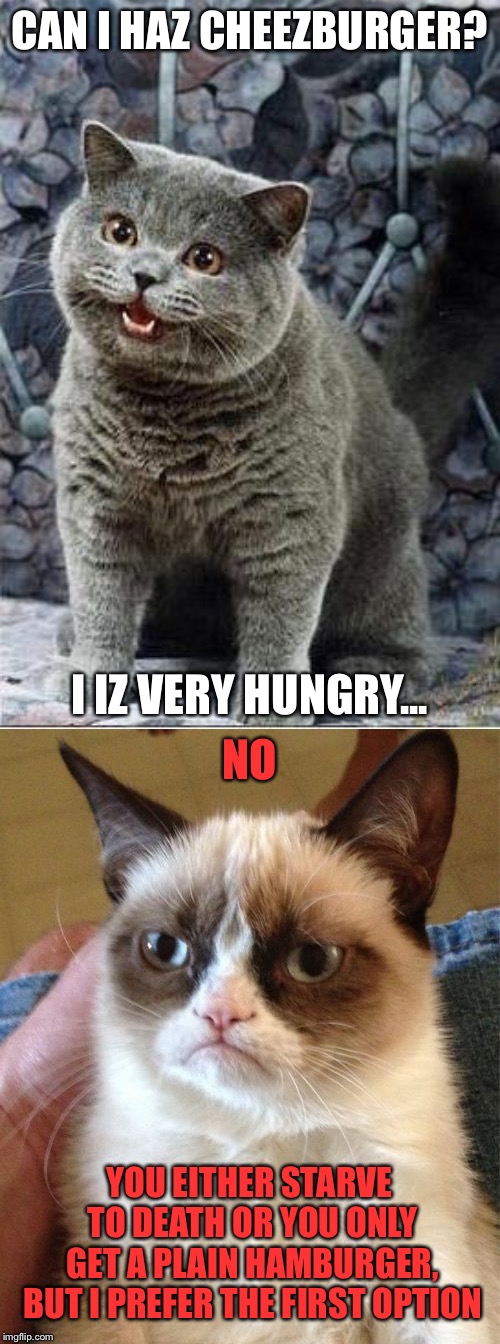 First Option or Second Option? | CAN I HAZ CHEEZBURGER? I IZ VERY HUNGRY... NO; YOU EITHER STARVE TO DEATH OR YOU ONLY GET A PLAIN HAMBURGER, BUT I PREFER THE FIRST OPTION | image tagged in memes,grumpy cat,i can has cheezburger cat,cats | made w/ Imgflip meme maker