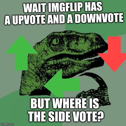 Philosoraptor | WAIT IMGFLIP HAS A UPVOTE AND A DOWNVOTE; BUT WHERE IS THE SIDE VOTE? | image tagged in memes,philosoraptor | made w/ Imgflip meme maker