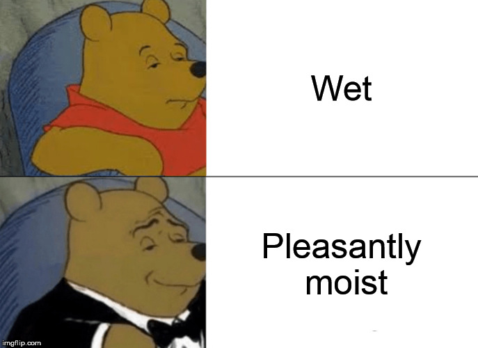 Tuxedo Winnie The Pooh | Wet; Pleasantly moist | image tagged in memes,tuxedo winnie the pooh | made w/ Imgflip meme maker
