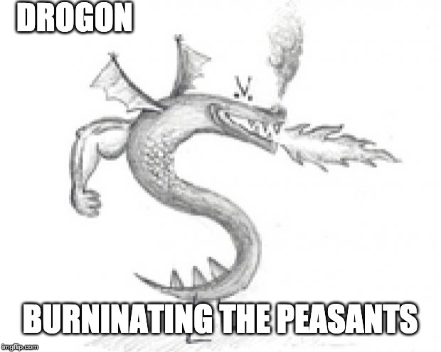 trogdor burninator | DROGON; BURNINATING THE PEASANTS | image tagged in trogdor burninator | made w/ Imgflip meme maker