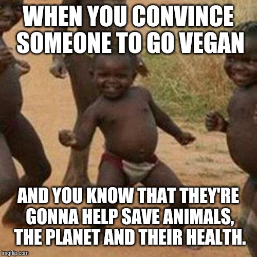 Third World Success Kid | WHEN YOU CONVINCE SOMEONE TO GO VEGAN; AND YOU KNOW THAT THEY'RE GONNA HELP SAVE ANIMALS, THE PLANET AND THEIR HEALTH. | image tagged in memes,third world success kid | made w/ Imgflip meme maker