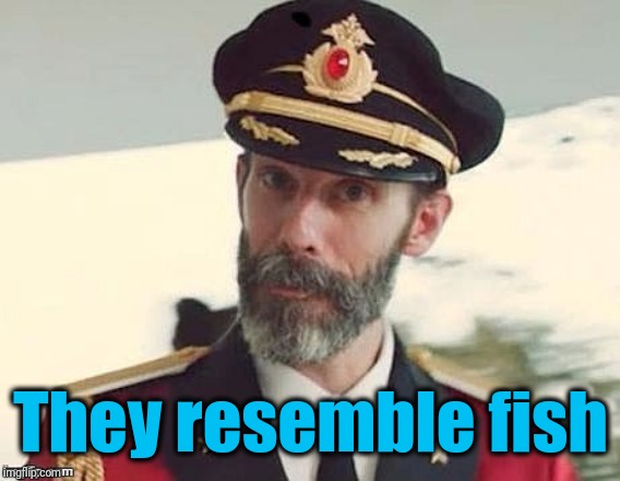 Captain Obvious | They resemble fish | image tagged in captain obvious | made w/ Imgflip meme maker