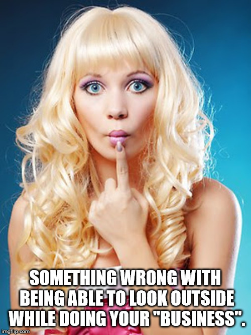 Dumb blonde | SOMETHING WRONG WITH BEING ABLE TO LOOK OUTSIDE WHILE DOING YOUR "BUSINESS". | image tagged in dumb blonde | made w/ Imgflip meme maker