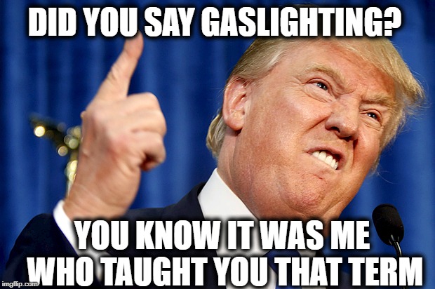 Donald Trump | DID YOU SAY GASLIGHTING? YOU KNOW IT WAS ME WHO TAUGHT YOU THAT TERM | image tagged in donald trump | made w/ Imgflip meme maker