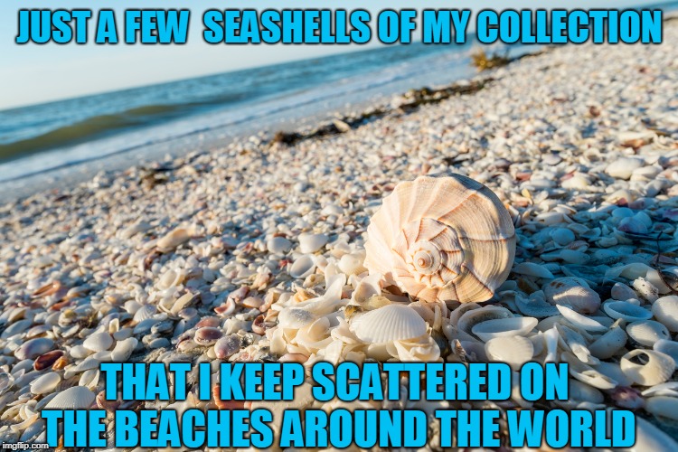 Stolen with pride from Steven Wright's I have a pony album | JUST A FEW  SEASHELLS OF MY COLLECTION; THAT I KEEP SCATTERED ON THE BEACHES AROUND THE WORLD | image tagged in humor,joke,funny memes | made w/ Imgflip meme maker