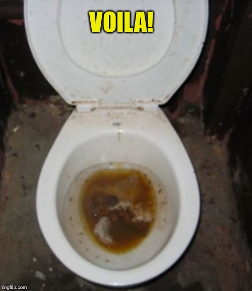 VERY DIRTY TOILET | VOILA! | image tagged in very dirty toilet | made w/ Imgflip meme maker