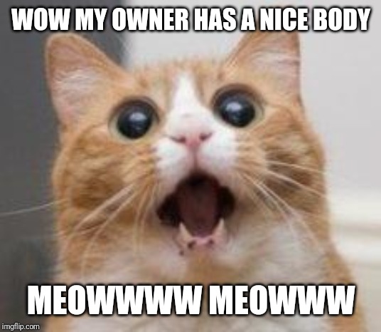 Jroc113 | WOW MY OWNER HAS A NICE BODY; MEOWWWW MEOWWW | image tagged in wow | made w/ Imgflip meme maker