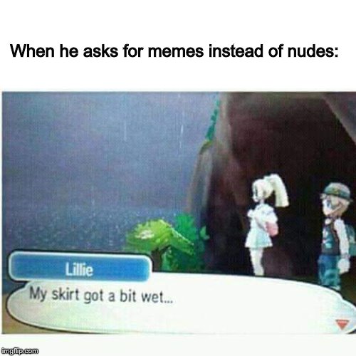 My skirt got a bit wet | When he asks for memes instead of nudes: | image tagged in my skirt got a bit wet | made w/ Imgflip meme maker