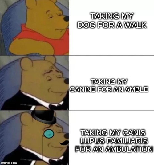 Fancy pooh | TAKING MY DOG FOR A WALK; TAKING MY CANINE FOR AN AMBLE; TAKING MY CANIS LUPUS FAMILIARIS FOR AN AMBULATION | image tagged in fancy pooh,memes,dank memes,funny memes | made w/ Imgflip meme maker