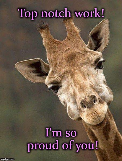 Giraffe face | Top notch work! I'm so proud of you! | image tagged in giraffe face | made w/ Imgflip meme maker