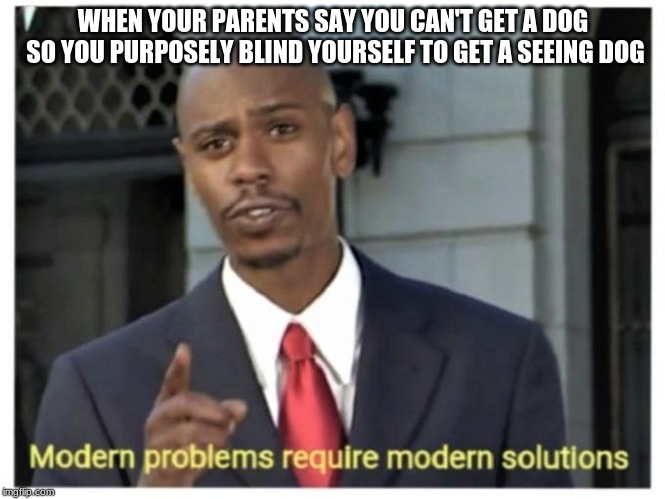 Modern problems require modern solutions | WHEN YOUR PARENTS SAY YOU CAN'T GET A DOG SO YOU PURPOSELY BLIND YOURSELF TO GET A SEEING DOG | image tagged in modern problems require modern solutions | made w/ Imgflip meme maker