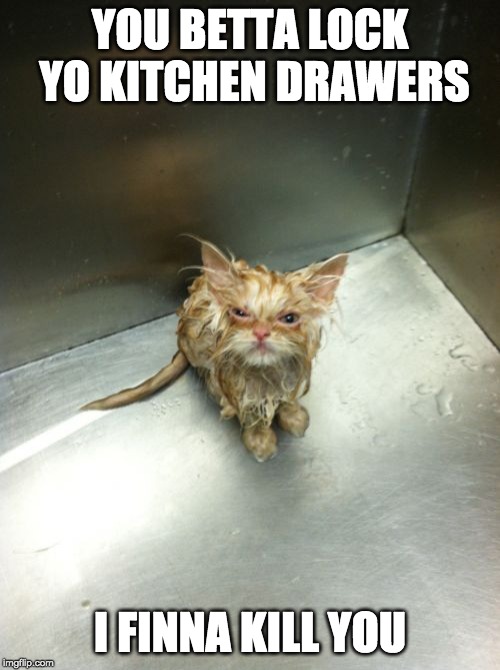 Kill You Cat | YOU BETTA LOCK YO KITCHEN DRAWERS; I FINNA KILL YOU | image tagged in memes,kill you cat | made w/ Imgflip meme maker
