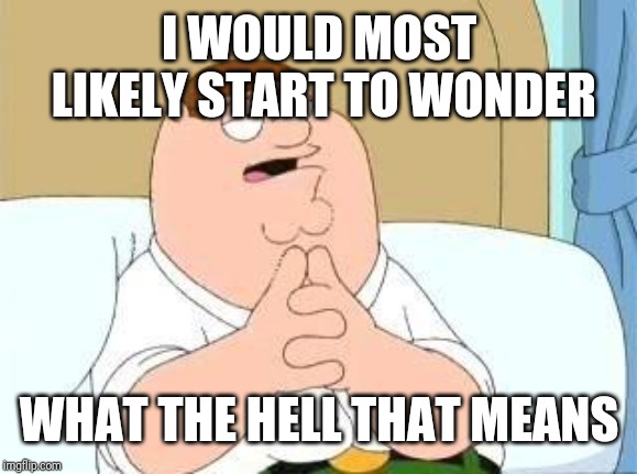peter griffin go on | I WOULD MOST LIKELY START TO WONDER WHAT THE HELL THAT MEANS | image tagged in peter griffin go on | made w/ Imgflip meme maker