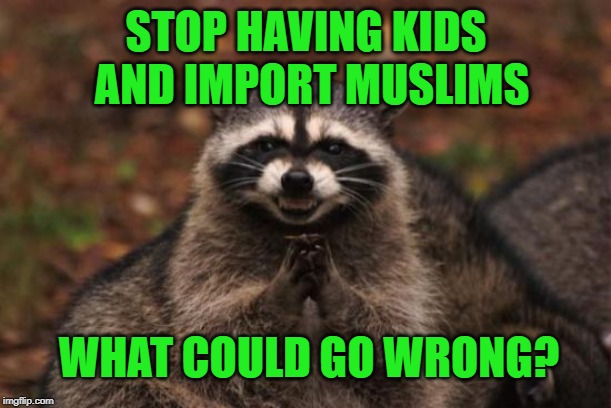 Evil racoon | STOP HAVING KIDS; AND IMPORT MUSLIMS; WHAT COULD GO WRONG? | image tagged in evil racoon | made w/ Imgflip meme maker