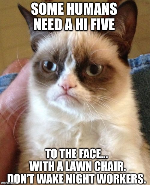 Grumpy Cat | SOME HUMANS NEED A HI FIVE; TO THE FACE... WITH A LAWN CHAIR. DON’T WAKE NIGHT WORKERS. | image tagged in memes,grumpy cat | made w/ Imgflip meme maker