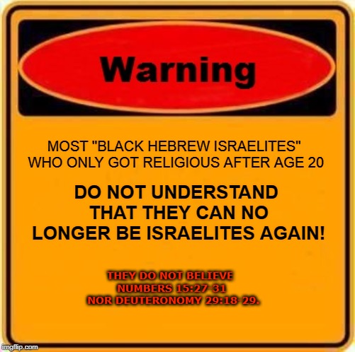 Warning Sign Meme | MOST "BLACK HEBREW ISRAELITES" WHO ONLY GOT RELIGIOUS AFTER AGE 20; DO NOT UNDERSTAND THAT THEY CAN NO LONGER BE ISRAELITES AGAIN! THEY DO NOT BELIEVE
 NUMBERS 15:27-31
 NOR DEUTERONOMY 29:18-29. | image tagged in memes,warning sign | made w/ Imgflip meme maker