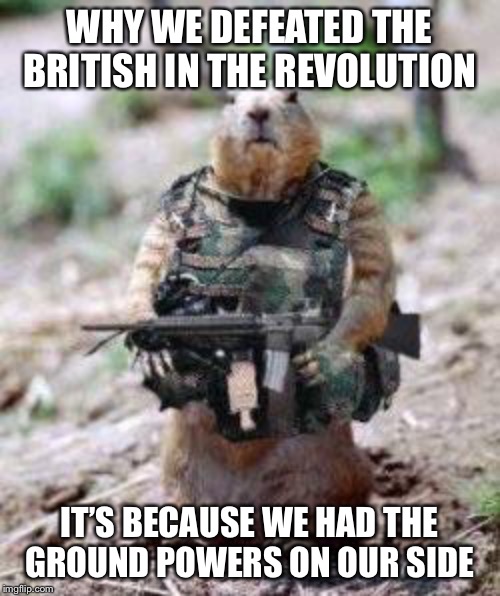 Freedom Fighters | WHY WE DEFEATED THE BRITISH IN THE REVOLUTION; IT’S BECAUSE WE HAD THE GROUND POWERS ON OUR SIDE | image tagged in freedom fighters | made w/ Imgflip meme maker