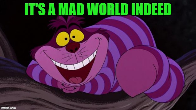 Cheshire Cat | IT'S A MAD WORLD INDEED | image tagged in cheshire cat | made w/ Imgflip meme maker