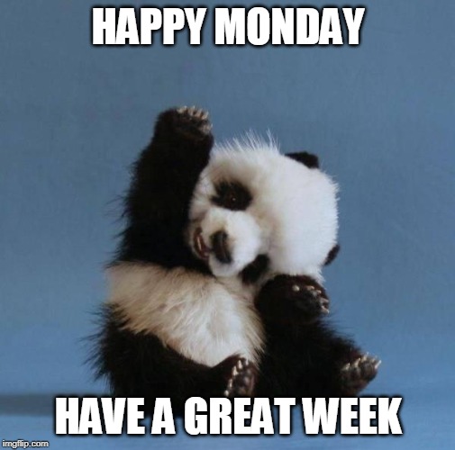 Panda | HAPPY MONDAY; HAVE A GREAT WEEK | image tagged in panda | made w/ Imgflip meme maker