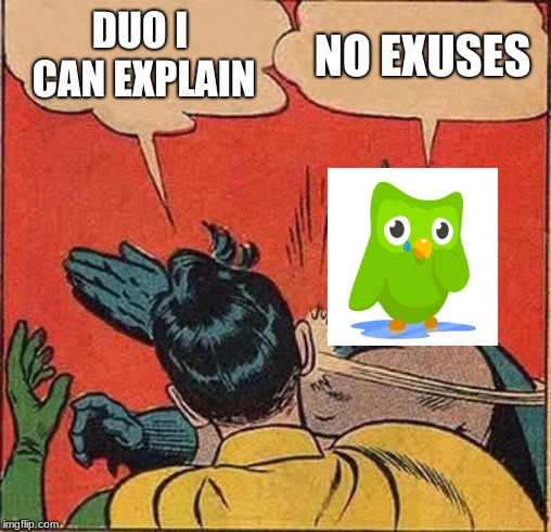 duo | R | image tagged in duolingo bird,duolingo | made w/ Imgflip meme maker