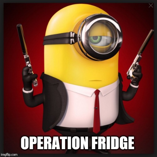Assassin Minion | OPERATION FRIDGE | image tagged in assassin minion | made w/ Imgflip meme maker