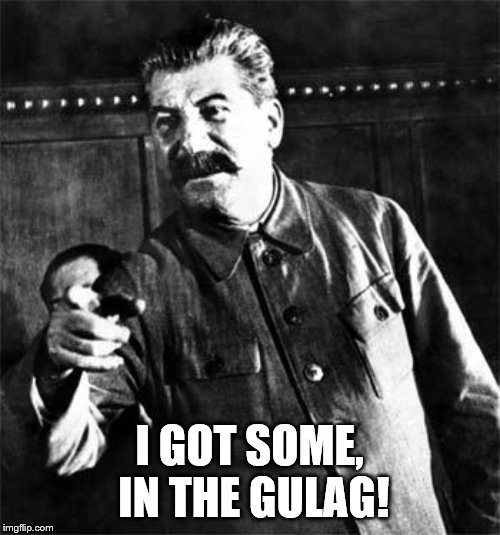 Stalin | I GOT SOME, IN THE GULAG! | image tagged in stalin | made w/ Imgflip meme maker