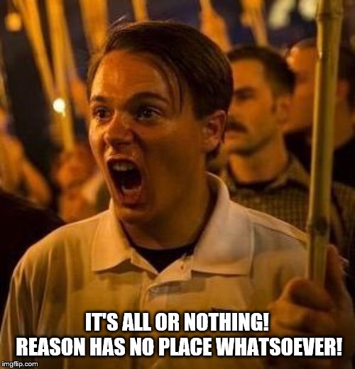 alt right douche | IT'S ALL OR NOTHING! REASON HAS NO PLACE WHATSOEVER! | image tagged in alt right douche | made w/ Imgflip meme maker