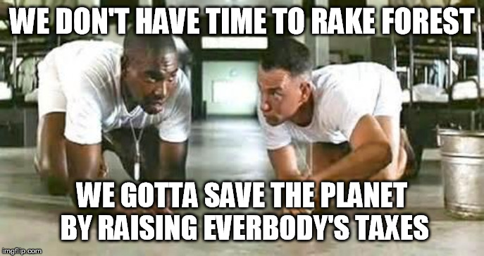 bubba gump shrimp | WE DON'T HAVE TIME TO RAKE FOREST WE GOTTA SAVE THE PLANET BY RAISING EVERBODY'S TAXES | image tagged in bubba gump shrimp | made w/ Imgflip meme maker