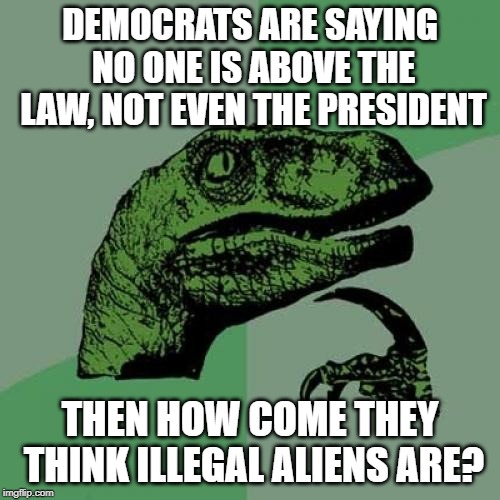Philosoraptor Meme | DEMOCRATS ARE SAYING NO ONE IS ABOVE THE LAW, NOT EVEN THE PRESIDENT; THEN HOW COME THEY THINK ILLEGAL ALIENS ARE? | image tagged in memes,philosoraptor | made w/ Imgflip meme maker