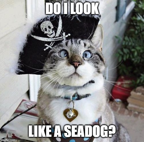 Spangles | DO I LOOK; LIKE A SEADOG? | image tagged in memes,spangles | made w/ Imgflip meme maker