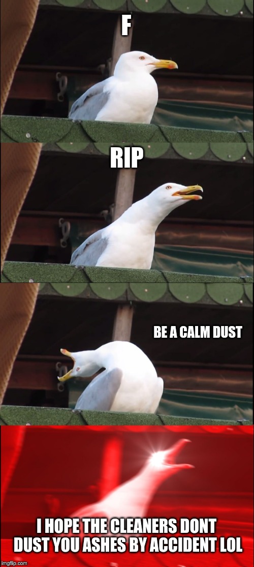Inhaling Seagull Meme | F; RIP; BE A CALM DUST; I HOPE THE CLEANERS DONT DUST YOU ASHES BY ACCIDENT LOL | image tagged in memes,inhaling seagull | made w/ Imgflip meme maker