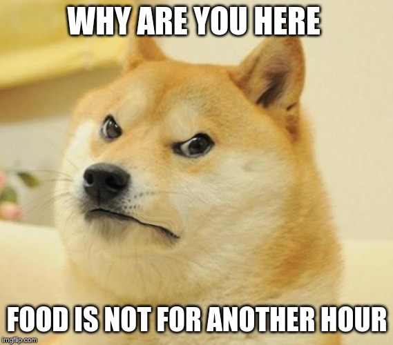 Mad doge | WHY ARE YOU HERE; FOOD IS NOT FOR ANOTHER HOUR | image tagged in mad doge | made w/ Imgflip meme maker