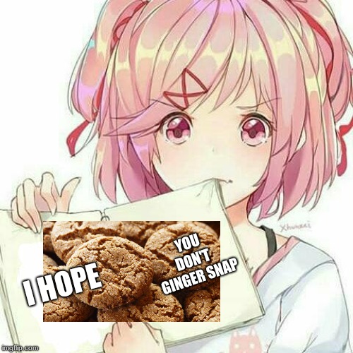 Natsuki's Book Of Truth | I HOPE YOU DON'T  GINGER SNAP | image tagged in natsuki's book of truth | made w/ Imgflip meme maker