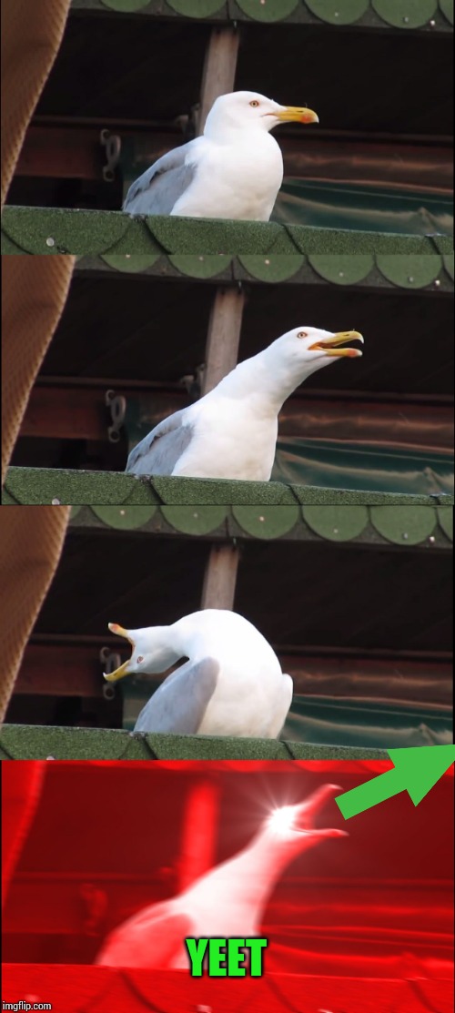Inhaling Seagull Meme | YEET | image tagged in memes,inhaling seagull | made w/ Imgflip meme maker