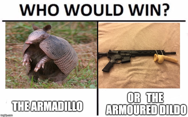 Who Would Win? Meme | OR   THE ARMOURED DILDO; THE ARMADILLO | image tagged in memes,who would win | made w/ Imgflip meme maker