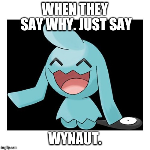 Wynaut | WHEN THEY SAY WHY. JUST SAY WYNAUT. | image tagged in wynaut | made w/ Imgflip meme maker